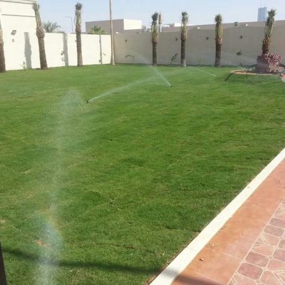 IMG-20210125-WA0149